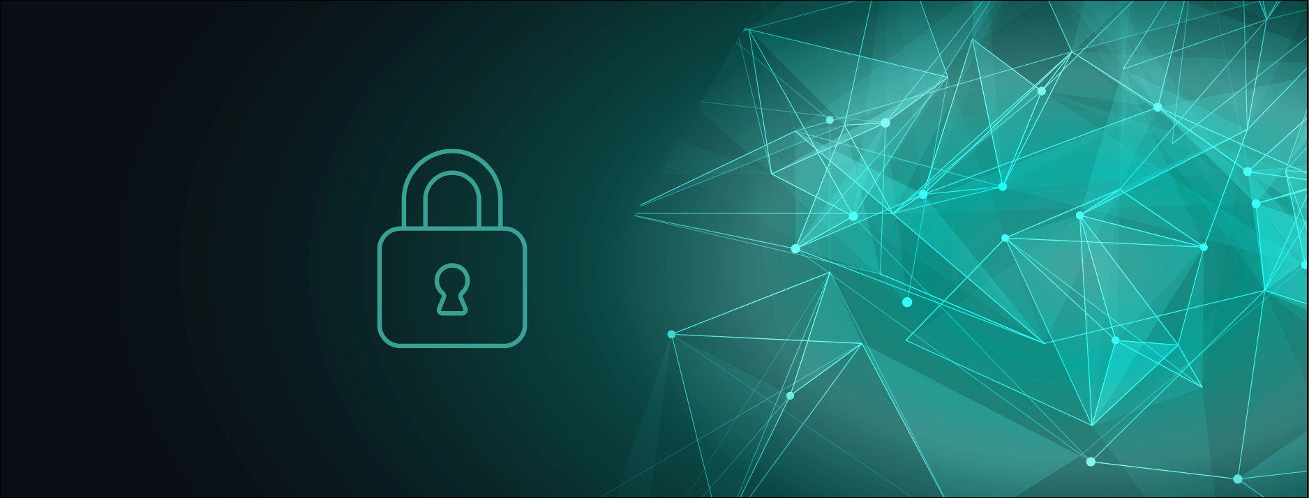 Website Security Image